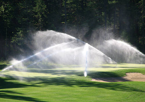 A golf green being watered by a professionally installed irrigation system. Beautiful turf conditions as the grass is being watered by this sprinkler heads. Water is backlit to provide plenty of drama to the scene. Irrigation or watering golf courses is essential to keep grass - or turf - healthy and strong. Grass on greens is often bentgrass or other strains of grass that can withstand extremely short mowing heights. Of course it also needs plenty of water!